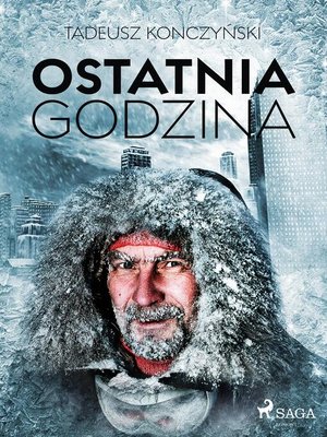 cover image of Ostatnia godzina